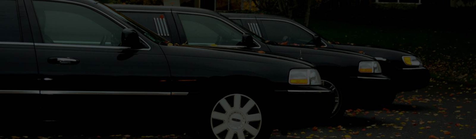 speed-limo-system